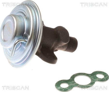 Triscan 8813 13050 - Клапан возврата ОГ autosila-amz.com