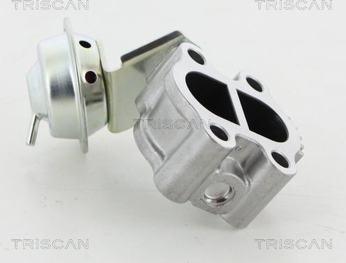 Triscan 8813 13060 - Клапан возврата ОГ autosila-amz.com