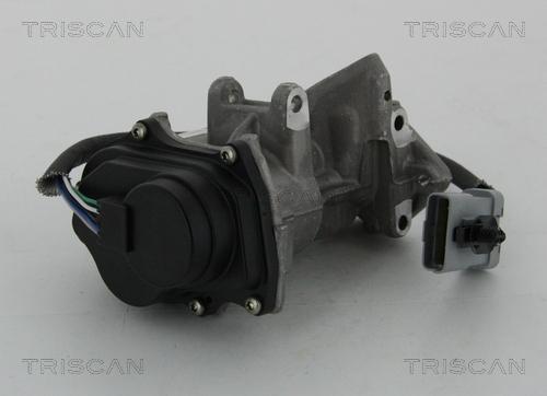 Triscan 8813 17019 - Клапан возврата ОГ autosila-amz.com