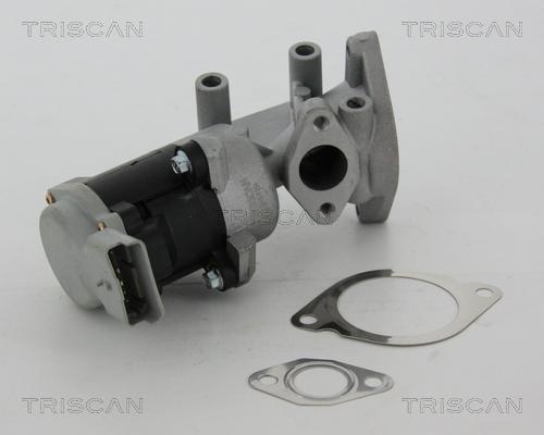 Triscan 8813 17020 - Клапан возврата ОГ autosila-amz.com