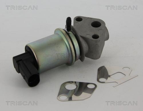 Triscan 8813 29044 - Клапан возврата ОГ autosila-amz.com