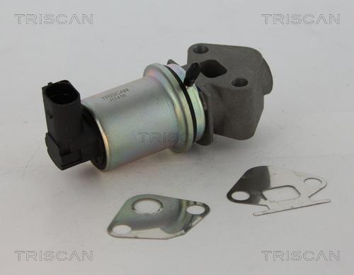 Triscan 8813 29045 - Клапан возврата ОГ autosila-amz.com