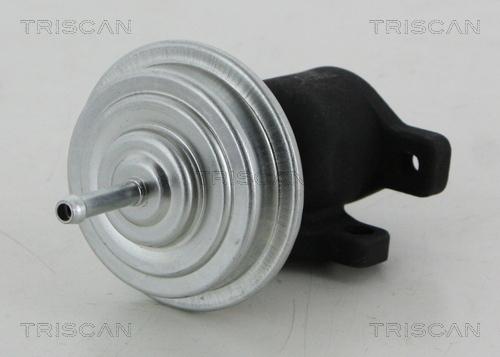 Triscan 8813 29053 - Клапан возврата ОГ autosila-amz.com