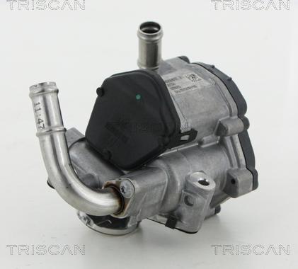Triscan 8813 29069 - Клапан возврата ОГ autosila-amz.com