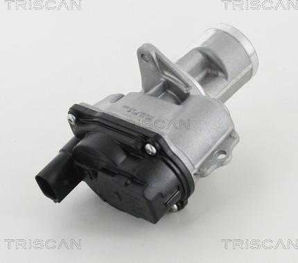 Triscan 8813 29065 - Клапан возврата ОГ autosila-amz.com