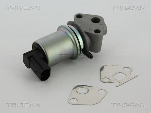 Triscan 8813 29004 - Клапан возврата ОГ autosila-amz.com