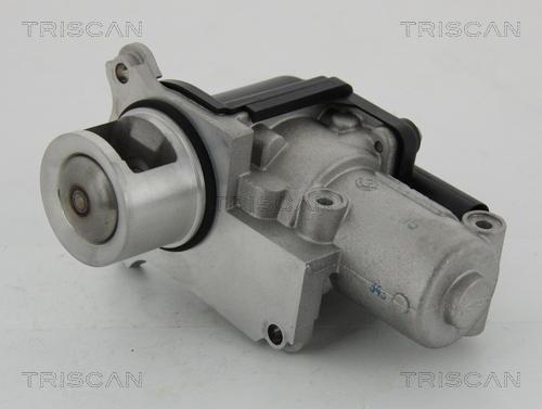 Triscan 8813 29002 - Клапан возврата ОГ autosila-amz.com