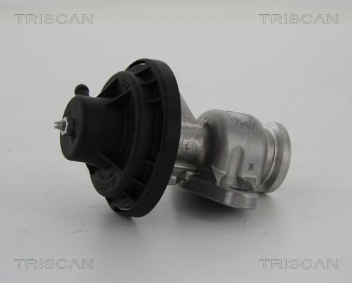 Triscan 8813 29034 - Клапан возврата ОГ autosila-amz.com