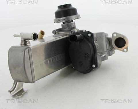 Triscan 8813 29071 - Клапан возврата ОГ autosila-amz.com