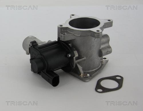Triscan 8813 29105 - Клапан возврата ОГ autosila-amz.com