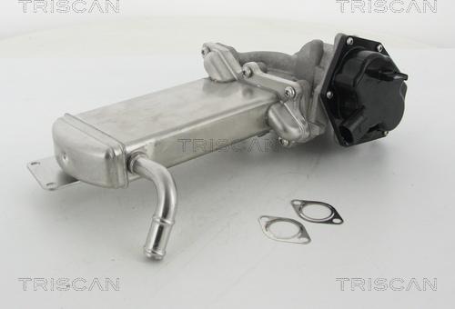 Triscan 8813 29305 - Клапан возврата ОГ autosila-amz.com