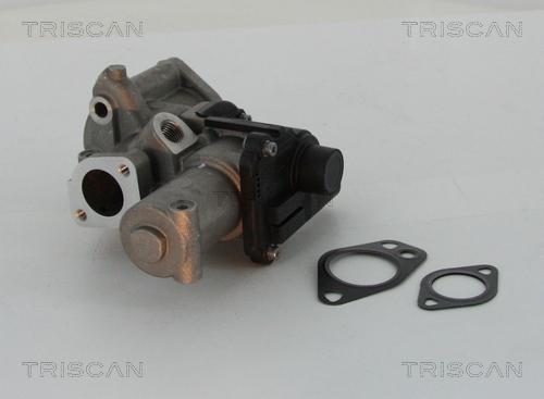 Triscan 8813 29312 - Клапан возврата ОГ autosila-amz.com
