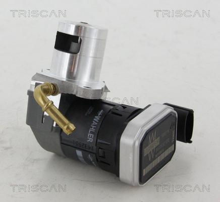 Triscan 8813 24046 - Клапан возврата ОГ autosila-amz.com