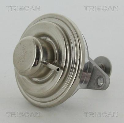 Triscan 8813 24054 - Клапан возврата ОГ autosila-amz.com