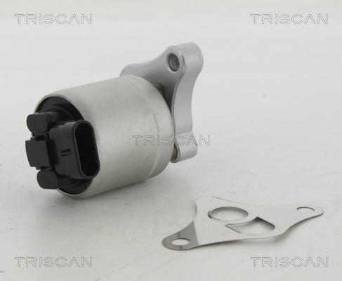 Triscan 8813 24002 - Клапан возврата ОГ autosila-amz.com
