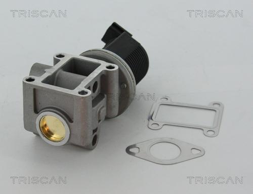 Triscan 8813 24082 - Клапан возврата ОГ autosila-amz.com
