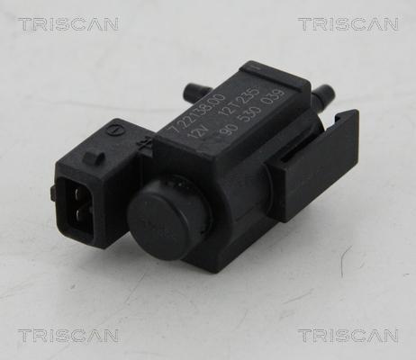 Triscan 8813 24034 - Клапан возврата ОГ autosila-amz.com