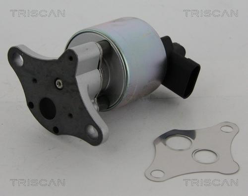 Triscan 8813 24100 - Клапан возврата ОГ autosila-amz.com