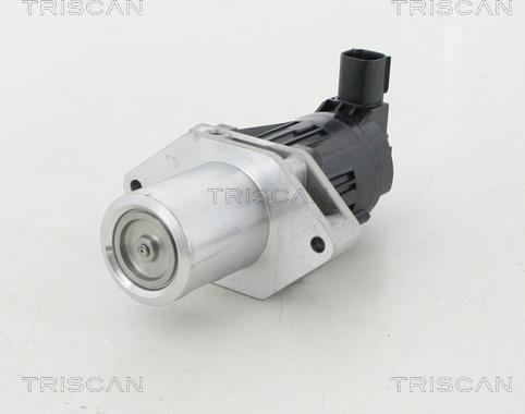 Triscan 8813 24209 - Клапан возврата ОГ autosila-amz.com