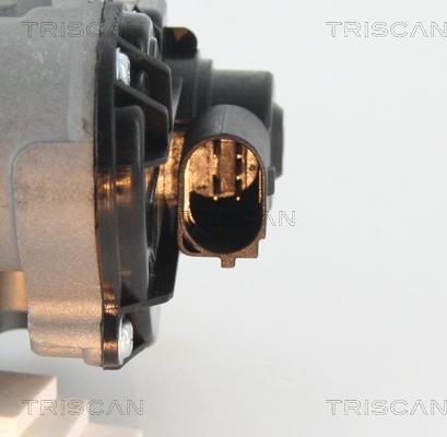 Triscan 8813 25010 - клапан autosila-amz.com