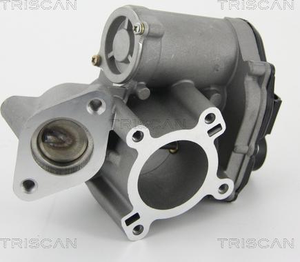 Triscan 8813 25010 - клапан autosila-amz.com