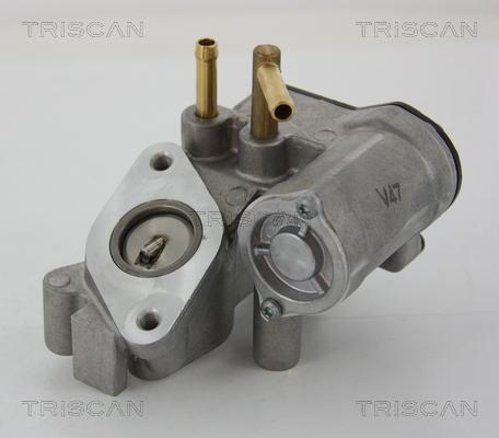 Triscan 8813 25018 - Клапан возврата ОГ autosila-amz.com