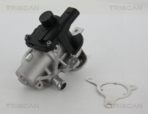 Triscan 8813 25039 - Клапан возврата ОГ autosila-amz.com