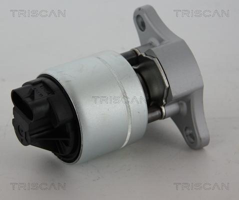 Triscan 8813 21006 - Клапан возврата ОГ autosila-amz.com