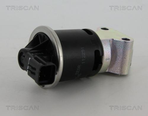 Triscan 8813 21008 - Клапан возврата ОГ autosila-amz.com