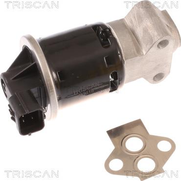 Triscan 8813 21100 - Клапан возврата ОГ autosila-amz.com