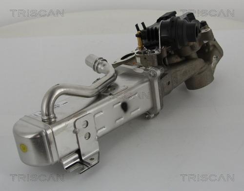 Triscan 8813 28044 - Клапан возврата ОГ autosila-amz.com