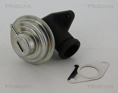 Triscan 8813 28042 - Клапан возврата ОГ autosila-amz.com