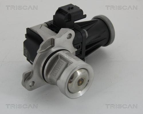 Triscan 8813 28005 - Клапан возврата ОГ autosila-amz.com