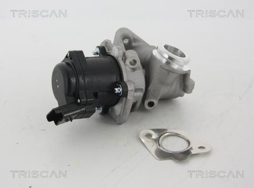 Triscan 8813 28003 - Клапан возврата ОГ autosila-amz.com