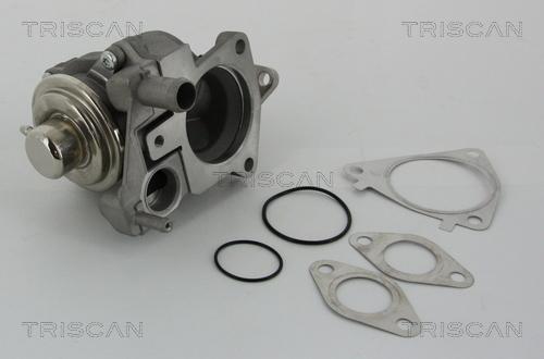 Triscan 8813 28019 - Клапан возврата ОГ autosila-amz.com