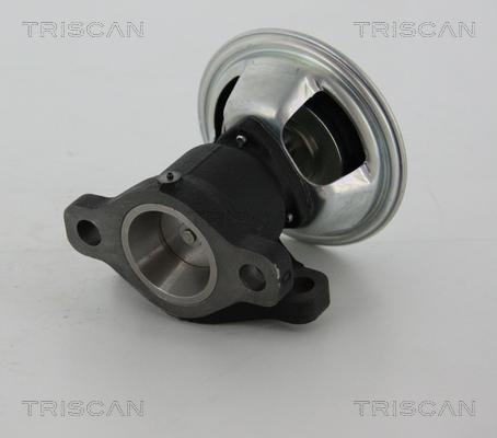 Triscan 8813 28011 - Клапан возврата ОГ autosila-amz.com