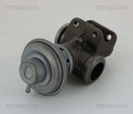 Triscan 8813 28013 - Клапан возврата ОГ autosila-amz.com