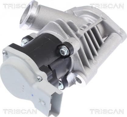 Triscan 8813 28028 - Клапан возврата ОГ autosila-amz.com