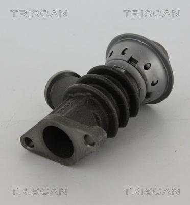 Triscan 8813 28100 - Клапан возврата ОГ autosila-amz.com