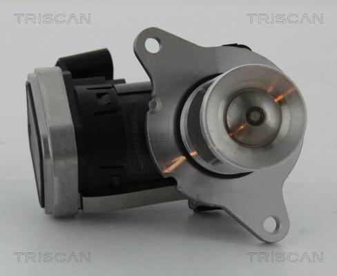 Triscan 8813 23006 - Клапан возврата ОГ autosila-amz.com