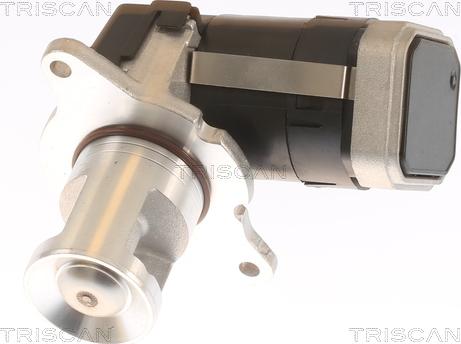 Triscan 8813 23036 - Клапан возврата ОГ autosila-amz.com