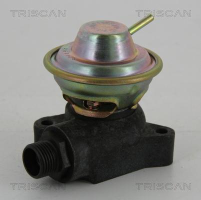 Triscan 8813 23200 - Клапан возврата ОГ autosila-amz.com