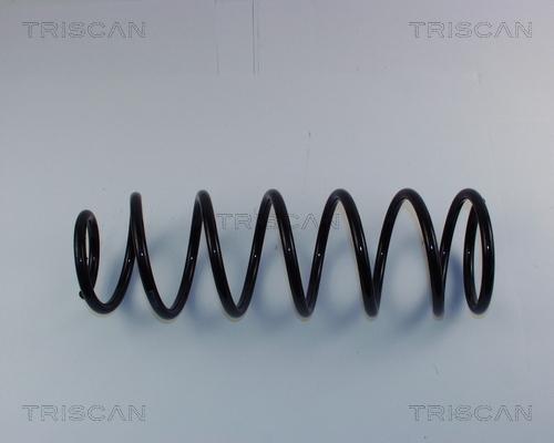 Triscan 8750 1650 - Пружина ходовой части autosila-amz.com