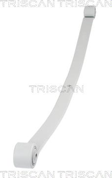 Triscan 8765 16044 - Многолистовая рессора autosila-amz.com