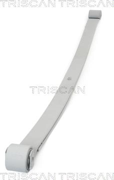 Triscan 8765 10006 - Многолистовая рессора autosila-amz.com