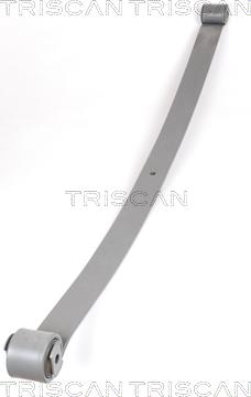 Triscan 8765 10001 - Многолистовая рессора autosila-amz.com