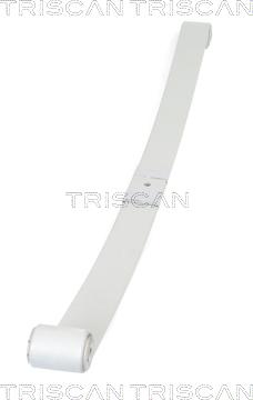 Triscan 8765 10008 - Многолистовая рессора autosila-amz.com