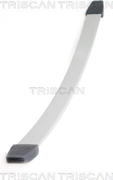 Triscan 8765 10003 - ГАЙКА autosila-amz.com