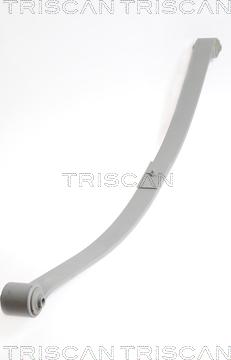 Triscan 8765 29020 - Многолистовая рессора autosila-amz.com