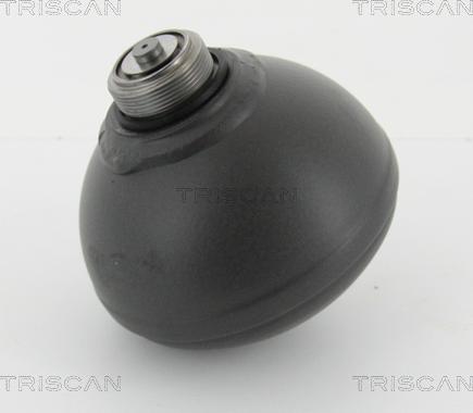 Triscan 8760 38231 - Гидроаккумулятор, подвеска / амортизация autosila-amz.com